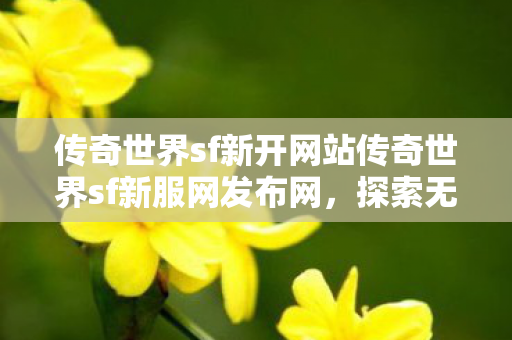 传奇世界sf新开网站传奇世界sf新服网发布网图片