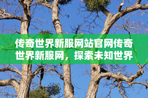 传奇世界新服网站官网传奇世界新服网图片
