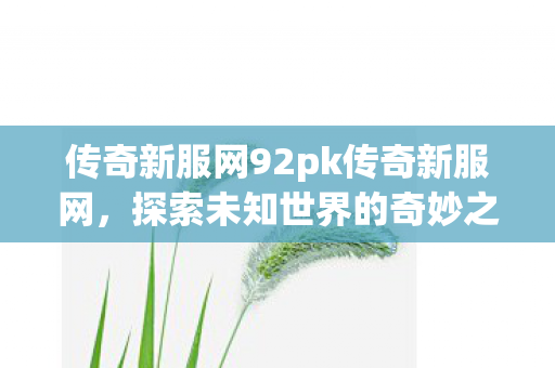 传奇新服网92pk传奇新服网图片