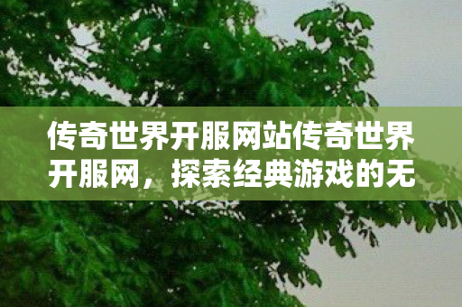 传奇世界开服网站传奇世界开服网图片