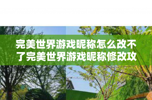完美世界游戏昵称怎么改不了完美世界游戏昵称修改攻略图片
