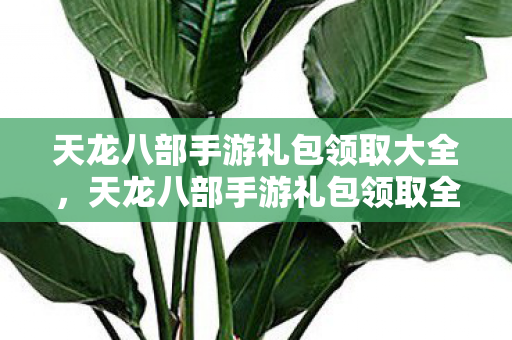 天龙八部手游礼包领取全攻略图片