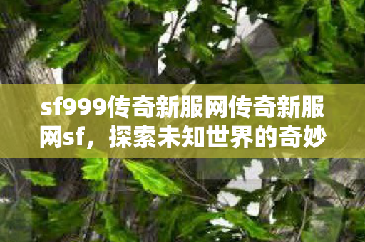 sf999传奇新服网传奇新服网sf图片