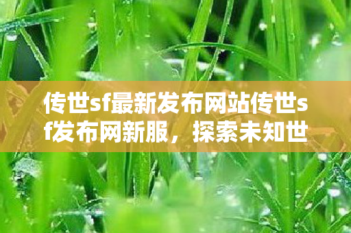 传世sf最新发布网站传世sf发布网新服图片