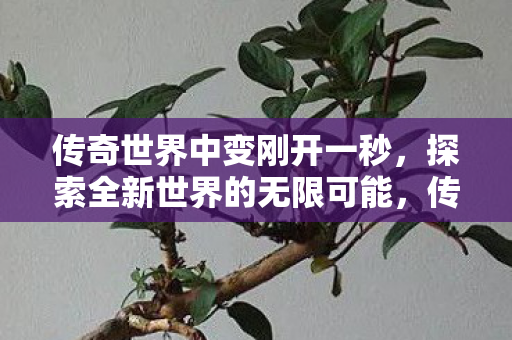 探索全新世界的无限可能图片
