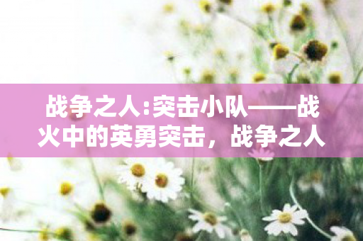 战火中的英勇突击图片
