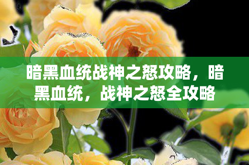 暗黑血统战神之怒攻略图片