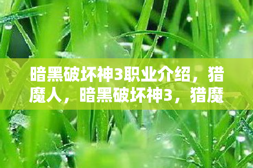 暗黑破坏神3职业介绍图片