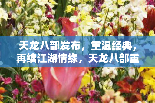 天龙八部重出江湖图片