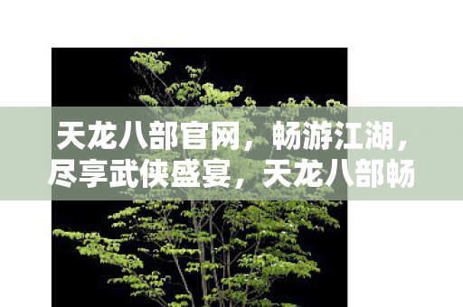天龙八部畅游江湖图片