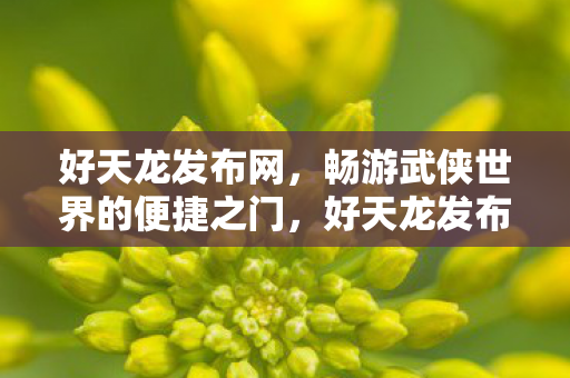 畅游武侠世界的便捷之门图片