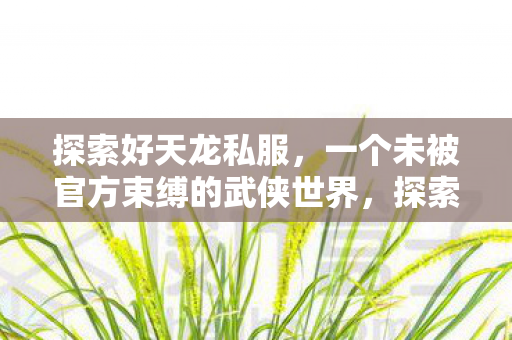 一个未被官方束缚的武侠世界图片