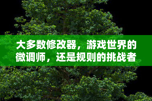游戏世界的微调师还是规则的挑战者图片