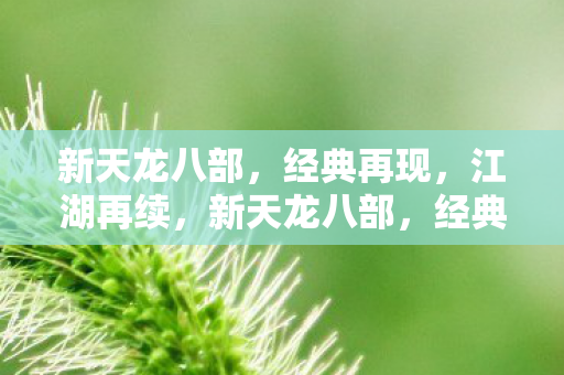 新天龙八部图片