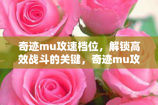 解锁高效战斗的关键图片