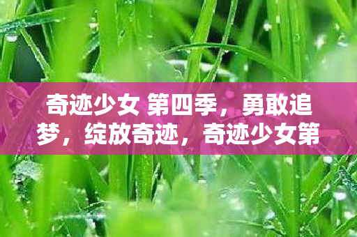 奇迹少女 第四季图片