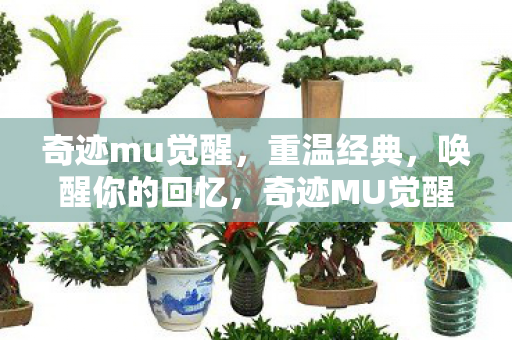 奇迹mu觉醒图片