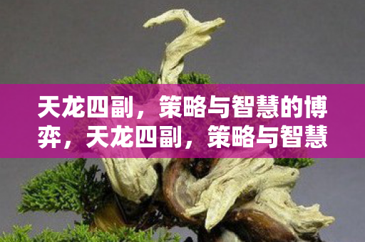 策略与智慧的博弈图片
