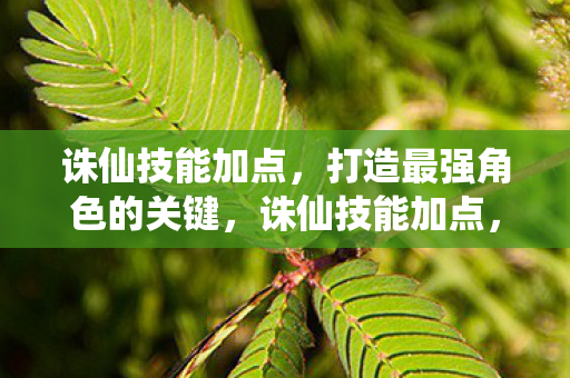 打造最强角色的关键图片