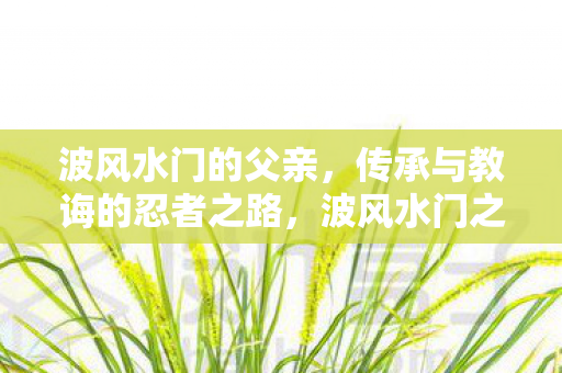 传承与教诲的忍者之路图片
