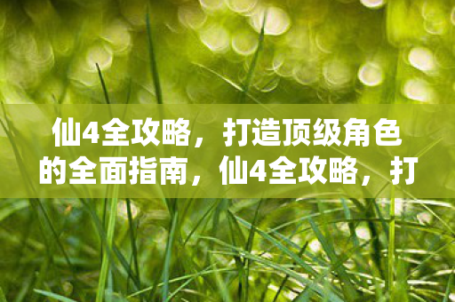打造顶级角色的全面指南图片