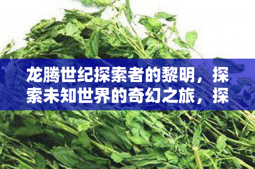 探索未知世界的奇幻之旅图片