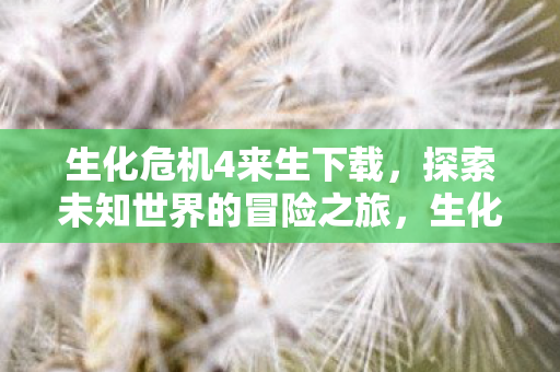 探索未知世界的冒险之旅图片