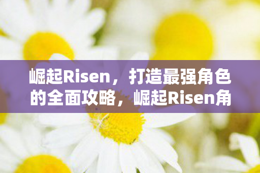 崛起Risen角色养成全面攻略图片