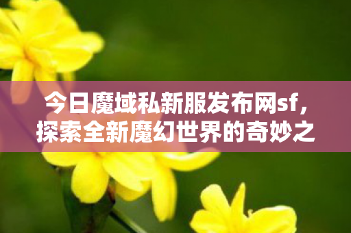 魔域私新服发布网sf等你来挑战图片
