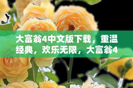 大富翁4中文版下载图片