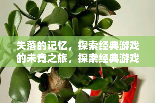 探索经典游戏的未竟之旅图片