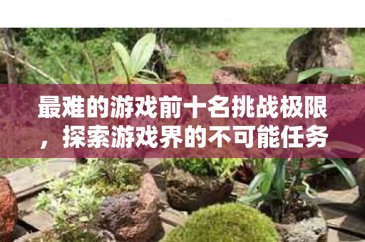 最难的游戏前十名挑战极限图片