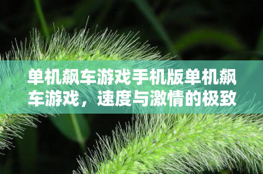 单机飙车游戏手机版单机飙车游戏图片