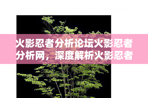 火影忍者分析论坛火影忍者分析网图片