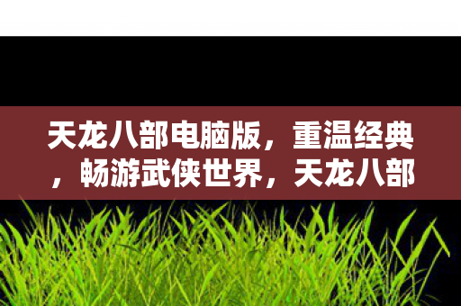 天龙八部电脑版图片