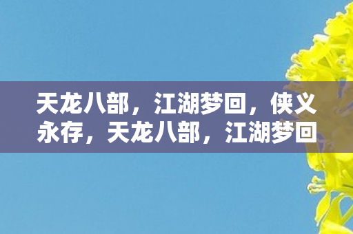 天龙八部图片