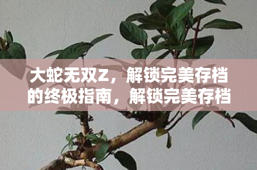 解锁完美存档的终极指南图片