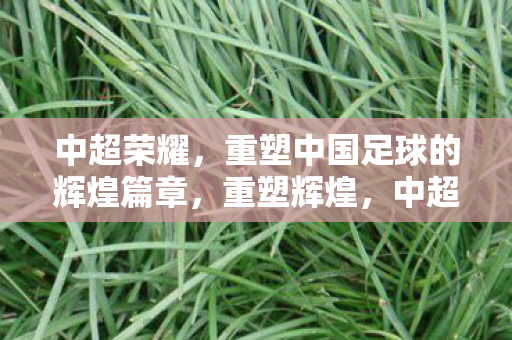 中超联赛引领中国足球荣耀之路图片