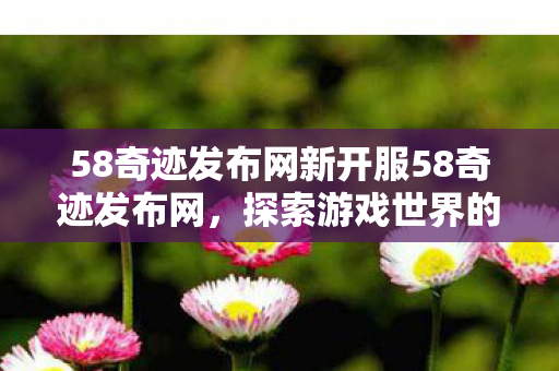 58奇迹发布网新开服58奇迹发布网图片