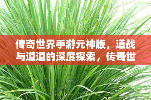 道战与道道的深度探索之旅图片
