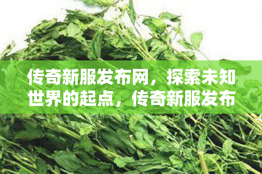 开启探索未知世界的冒险之旅图片
