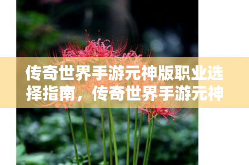 传奇世界手游元神版职业选择全解析图片