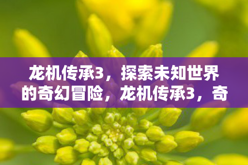 探索未知世界的奇幻冒险图片