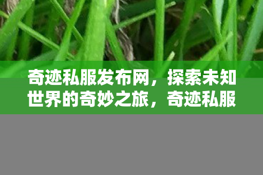 开启探索未知世界的奇妙旅程图片
