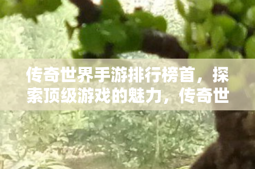 传奇世界手游排行榜首图片