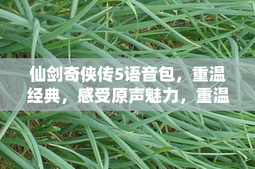 仙剑奇侠传5语音包上线图片