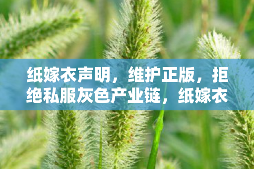 拒绝私服灰色产业链图片