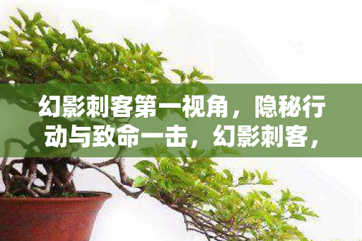 隐秘行动与致命一击图片