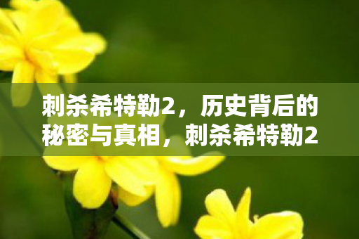 揭秘历史背后的秘密与真相图片