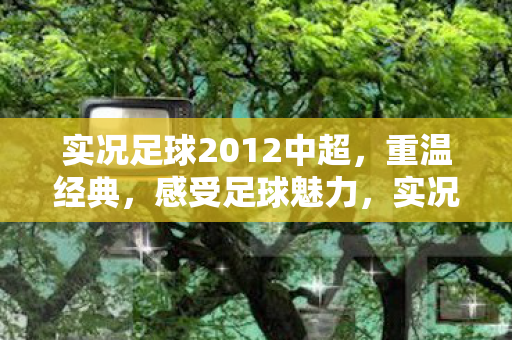 实况足球2012中超图片